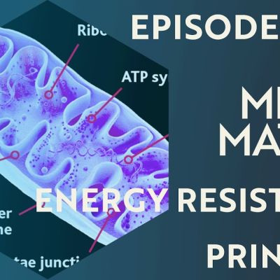 ERP in life thumbnail
